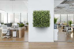 Buxus Natural