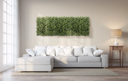 Buxus Natural